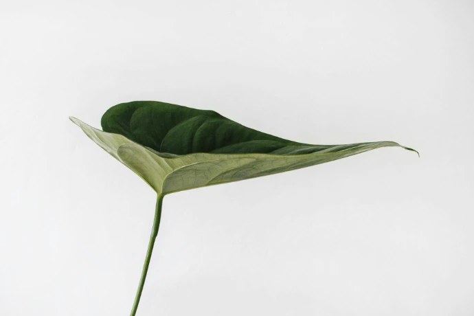 MaterialHubUSA.com champions constantly evolving sustainable practices that protect our planet and empower communities. By partnering with us, you gain a trusted ally that not only supplies critical equipment but also elevates your ESG performance throughout the supply chain.